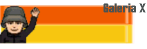 Galeria X